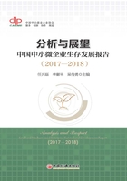 分析与展望：中国中小微企业生存发展报告（2017—2018）在线阅读