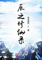 辰之修仙录