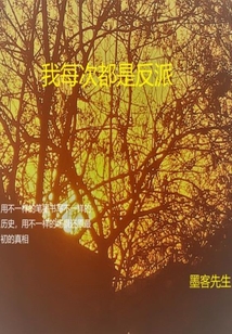 我每次都是反派