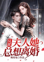 反派夫人她总想离婚在线阅读