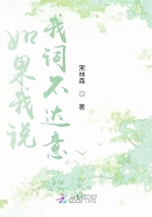 如果我说我词不达意
