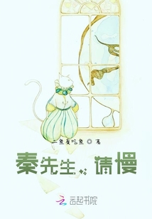 秦先生，請慢