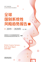 2019—2020年全球国别系统性风险趋势报告1