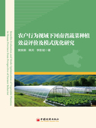 农户行为视域下河南省蔬菜种植效益评价及模式优化研究