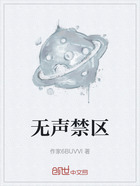 无声禁区在线阅读