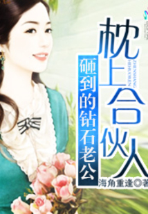 枕上合伙人：砸到的钻石老公