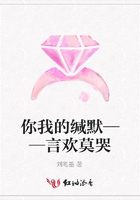 你我的緘默——言歡莫哭在線閱讀