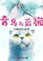 青鸟与蓝猫在线阅读