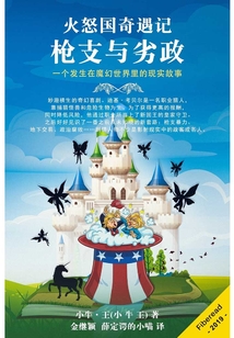 火怒國奇遇記：槍支與劣政