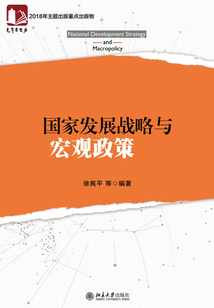 國家發展戰略與宏觀政策(上下冊)