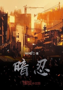 暗忍之暗野傳