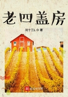 老四蓋房在線閱讀