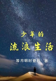 少年的流浪生活