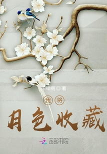 我將月色收藏