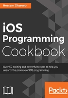 iOS Programming Cookbook在线阅读