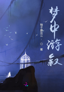夢中游敘