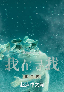 我在寻找那个你