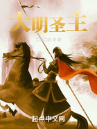 大明圣主在線閱讀