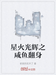 星火光輝之咸魚翻身
