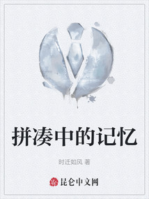 拼湊中的記憶