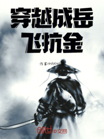 穿越成岳飛抗金
