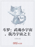 斗罗:武魂小宇宙,我乃宇宙之主在线阅读