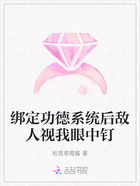 绑定功德系统后敌人视我眼中钉在线阅读