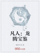 凡人:龙腾宝鉴在线阅读