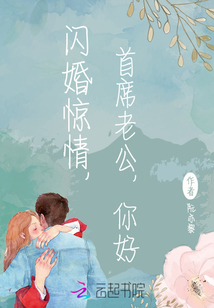 闪婚惊情：首席老公，你好！