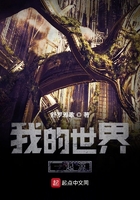 我的世界一起源在线阅读
