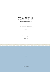 安全保护证(小经典系列)