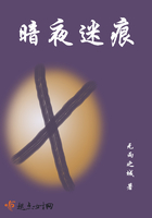 暗夜迷痕在线阅读