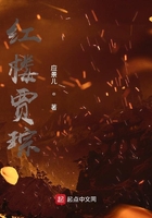 紅樓賈琮在線閱讀