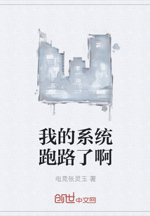 我的系统跑路了啊