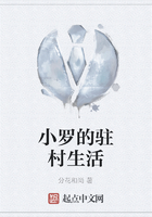 小羅的駐村生活在線閱讀