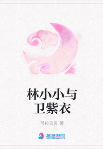林小小與衛紫衣
