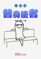 路过的替身使者在线阅读
