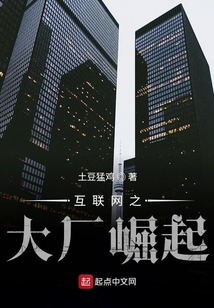 互聯(lián)網(wǎng)之大廠崛起