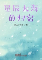 星辰大海的歸宿在線閱讀