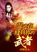 混迹在修真界的武者在线阅读