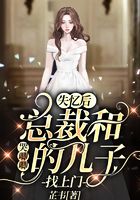 失憶后總裁和哭唧唧的兒子找上門在線閱讀