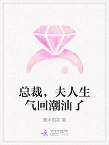 總裁，夫人生氣回潮汕了