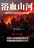 浴血山河:国民党正面战场抗战纪实2·与子同袍在线阅读