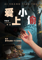 爱上小偷在线阅读