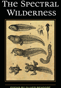 The Spectral Wilderness