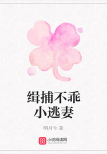缉捕不乖小逃妻