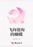 飛向滄海的蝴蝶在線閱讀