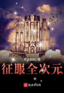 征服全次元