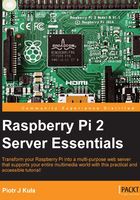 Raspberry Pi 2 Server Essentials在線閱讀