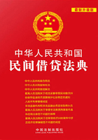 中华人民共和国民间借贷法典（2013年版）在线阅读